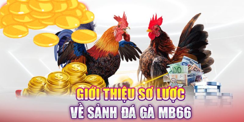 Giới thiệu sơ lược về sảnh đá gà casino trực tuyến 